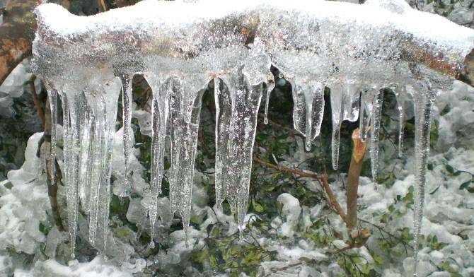 甘肅低溫潤滑脂